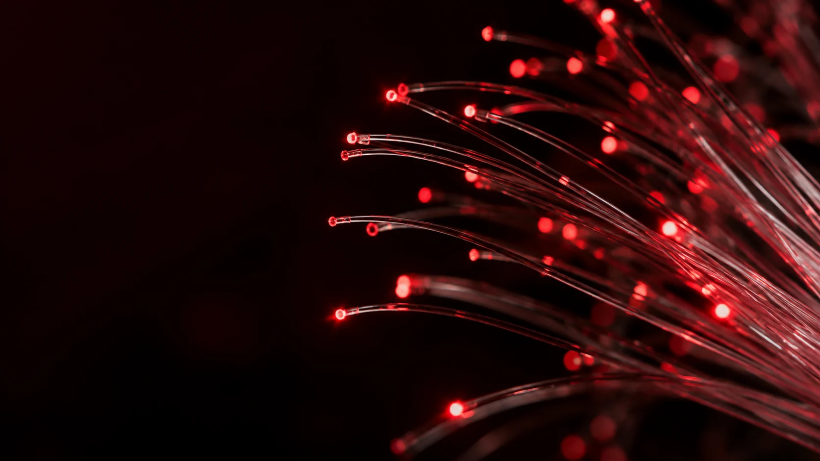Red illuminated optical fibre strands